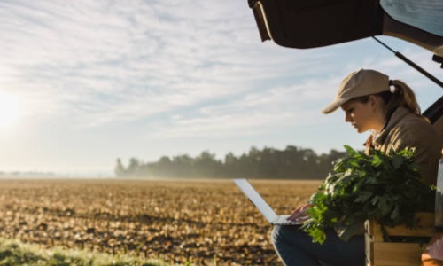 Polnische Landwirte in der deutschen Agrarindustrie